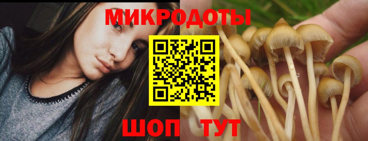 Старая Купавна  Галлюциногенные грибы Magic Shrooms  Вход с VPN 