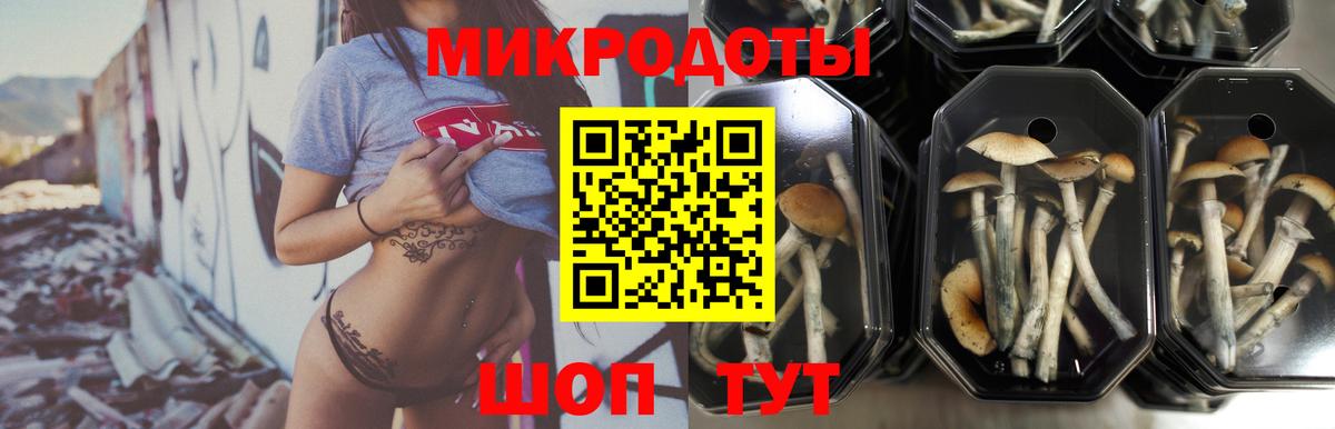 Псилоцибиновые грибы ЛСД Старая Купавна
